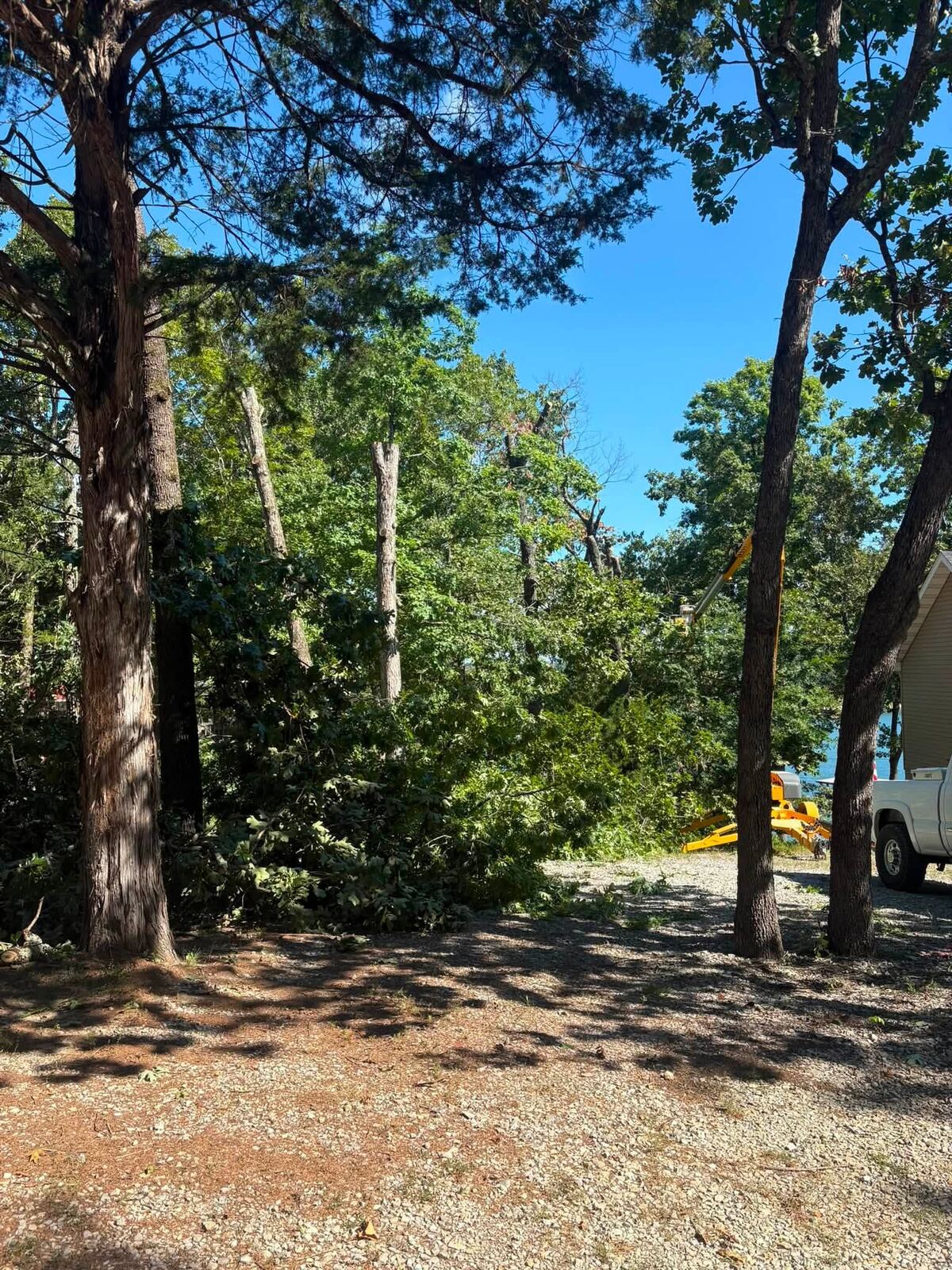 land clearing job by Next Level Excavation in Lakeview, AR